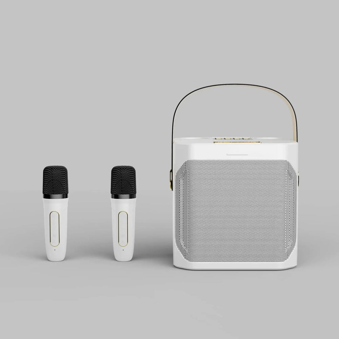 Stornfield | Karaoke Bluetooth Speaker – 360° Surround Wireless Subwoofer with Dual Mics