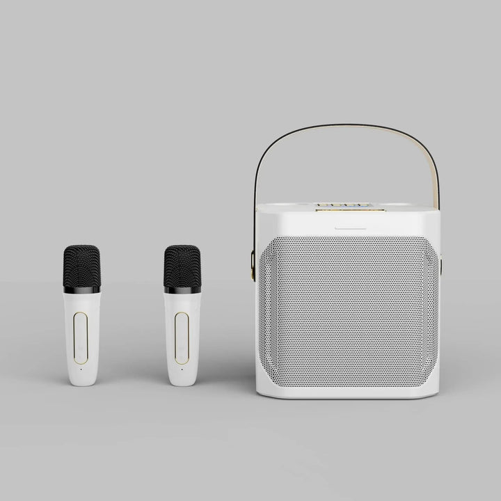 Stornfield | Karaoke Bluetooth Speaker – 360° Surround Wireless Subwoofer with Dual Mics