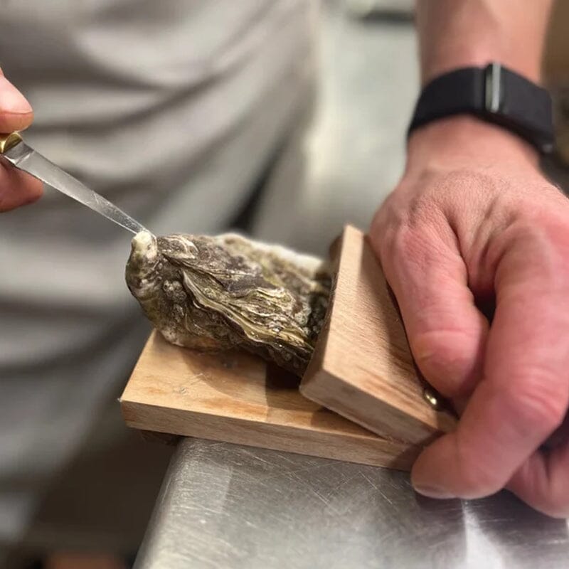 Stornfield | Pince d'ouverture Oyster