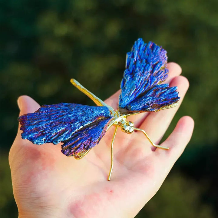AURA TOURMALINE KYANITE DRAGONFLY | Stornfield