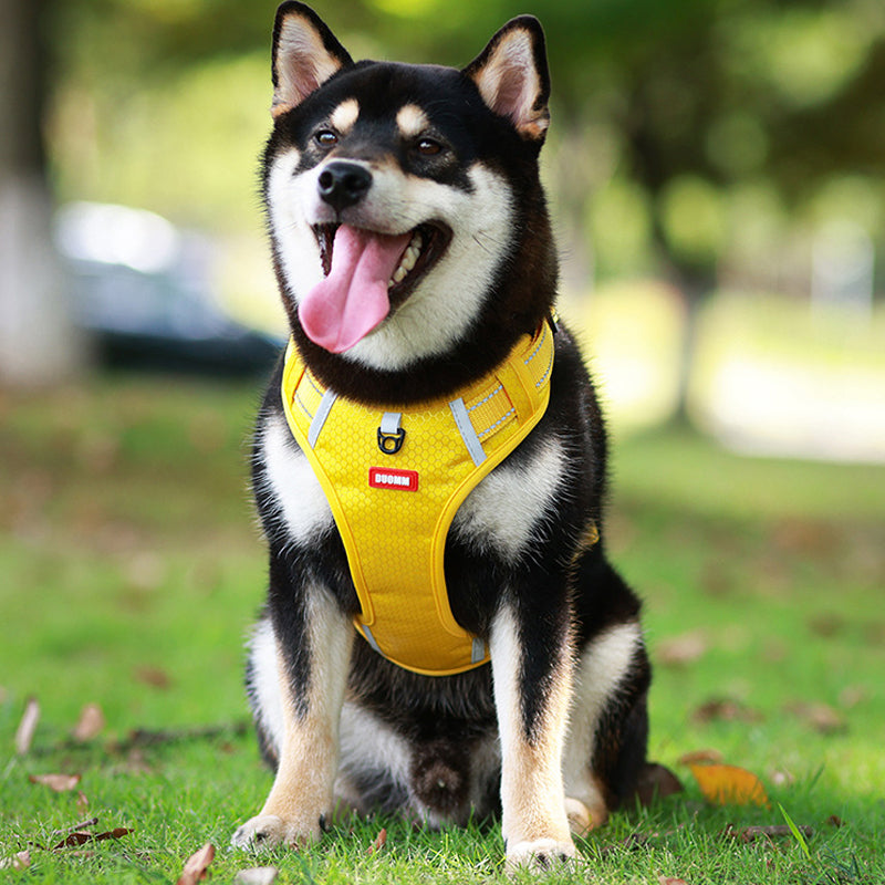 Reflective Dog Harness | Stornfield
