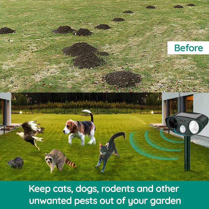 Stornfield | Ultrasonic Armadillo Repellent
