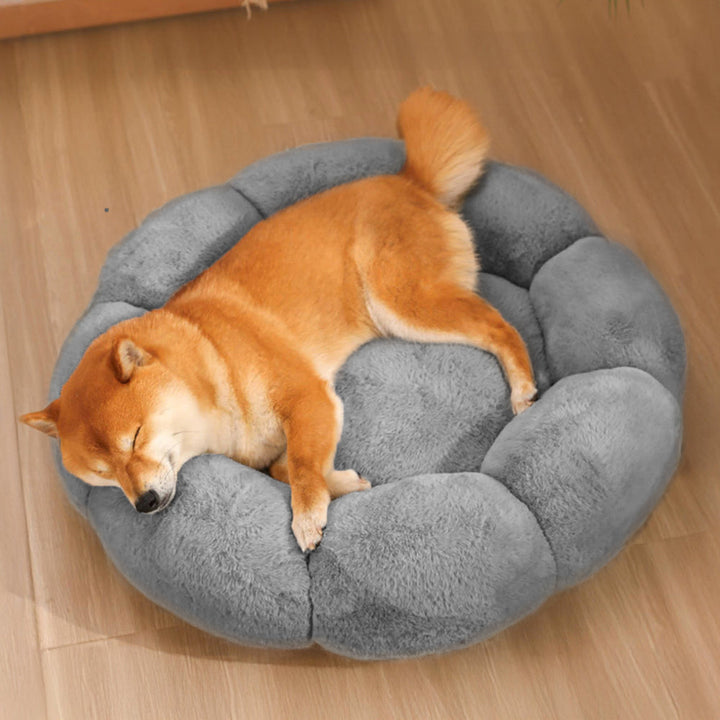 Stornfield | Flower Heat Washable Decorative Dog and Cat Bed with Full Support