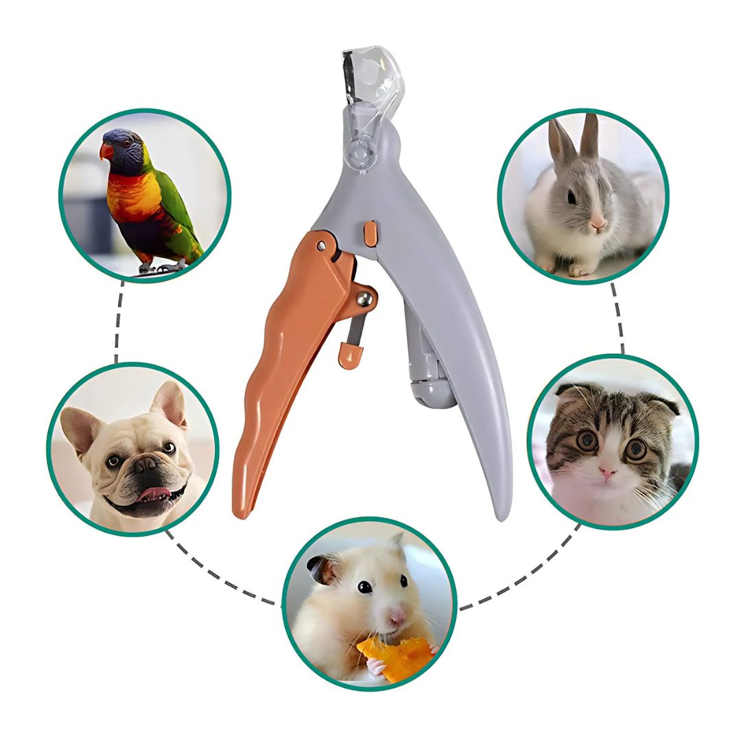 PawSure | Pet Nail Clippers - Quick Sensor - LED Light - Safety Guard - Stainless Steel Blades - Safe, Easy, and Precise Nail Clipping Stornfield