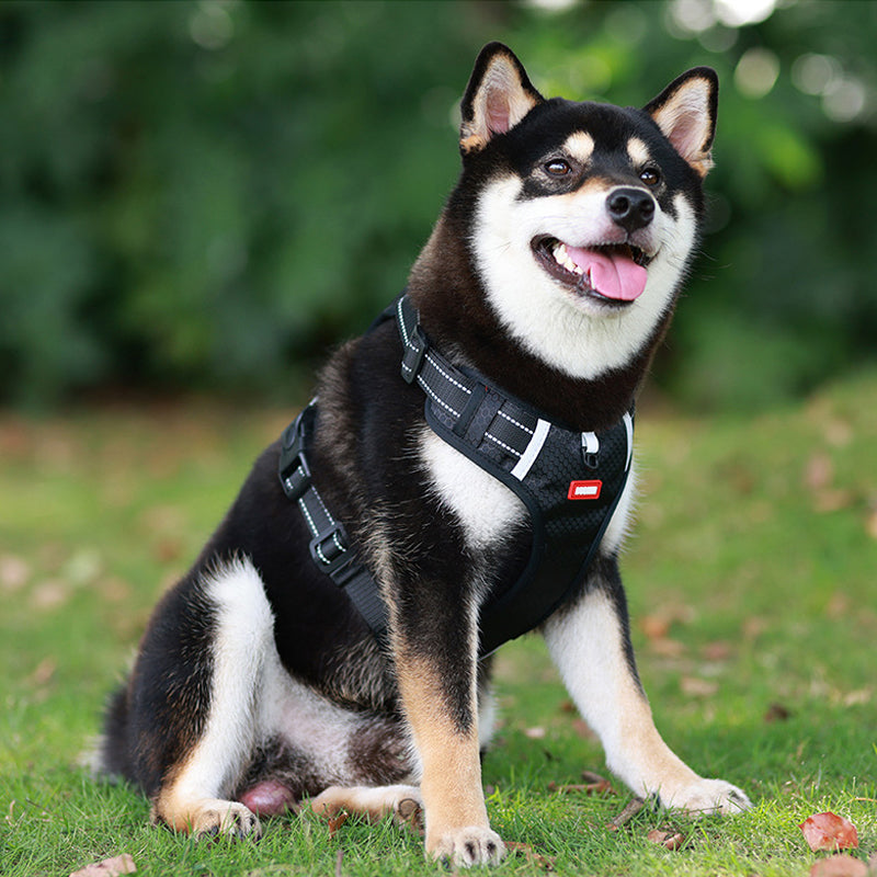 Reflective Dog Harness | Stornfield