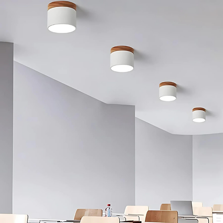 Cylindrical LED ceiling light for stylish hallways | Stornfield