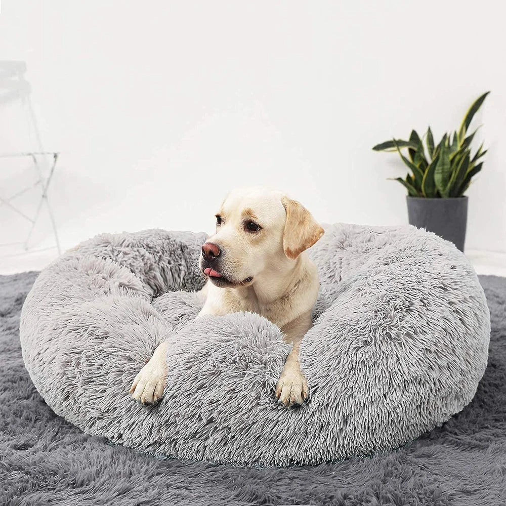 Premium Dog Bed Stornfield