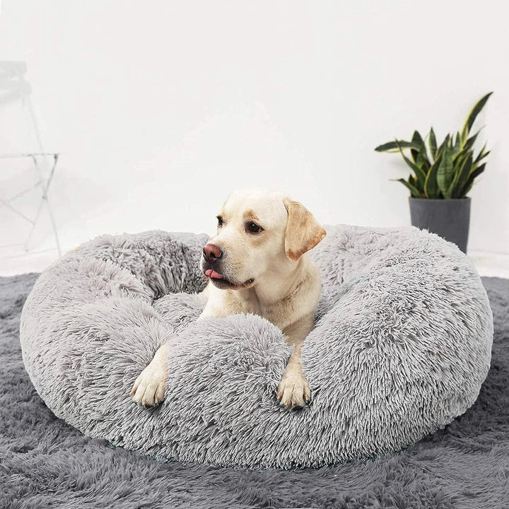 Premium Dog Bed Stornfield