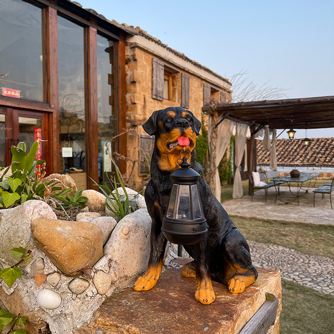 Playful Paws Solar Lamp Stornfield
