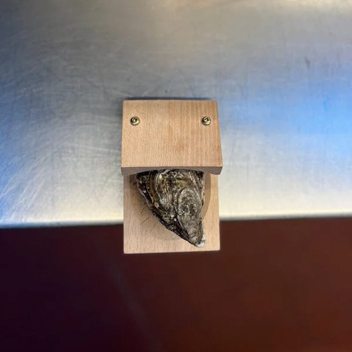 Stornfield | Pince d'ouverture Oyster