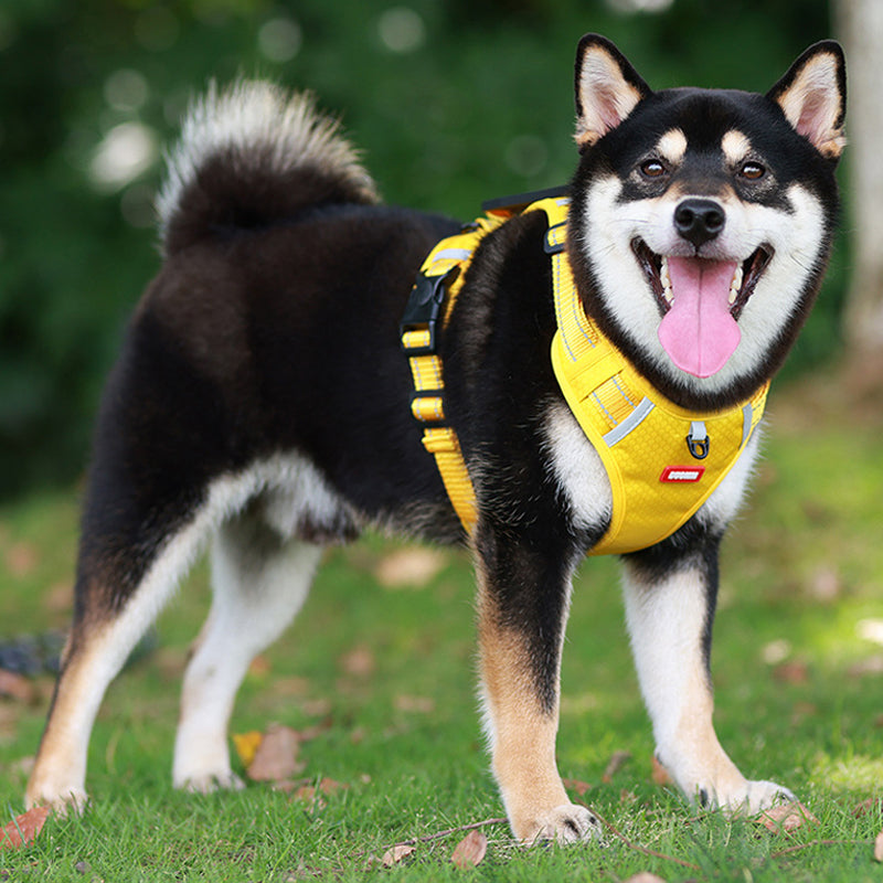 Reflective Dog Harness | Stornfield