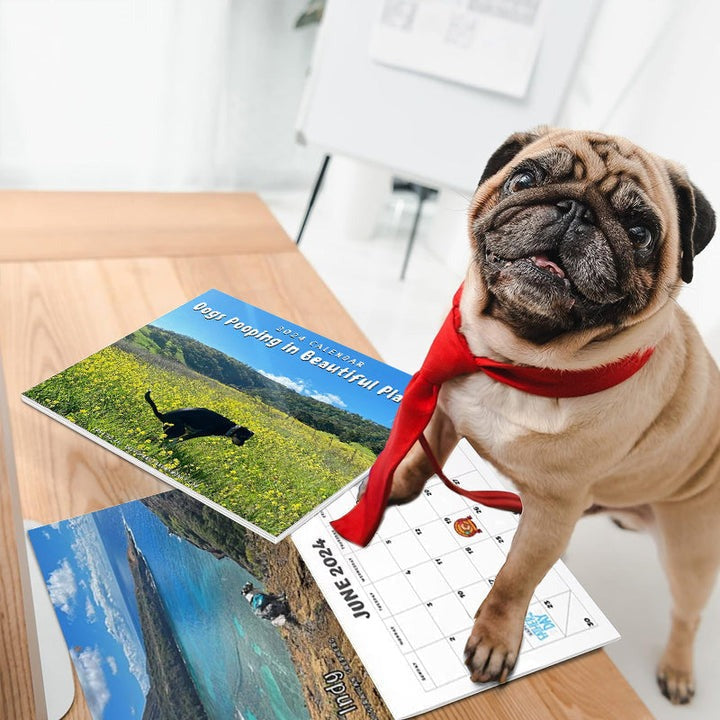 Funniest Calendar-Dogs Pooping in Beautiful Places | "Artistic Expression" of Furry Friends | Stornfield