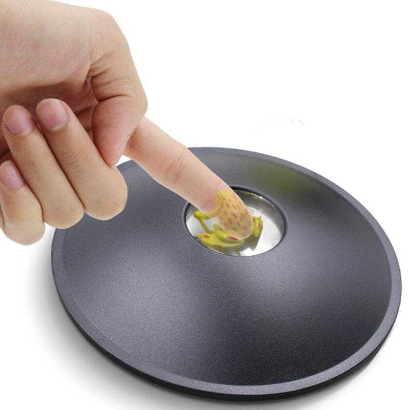 Stornfield | 3D Hologram Image Toy, Optical Projection & Visual Illusion, Best Gift for Christmas, Thanksgiving & Holidays
