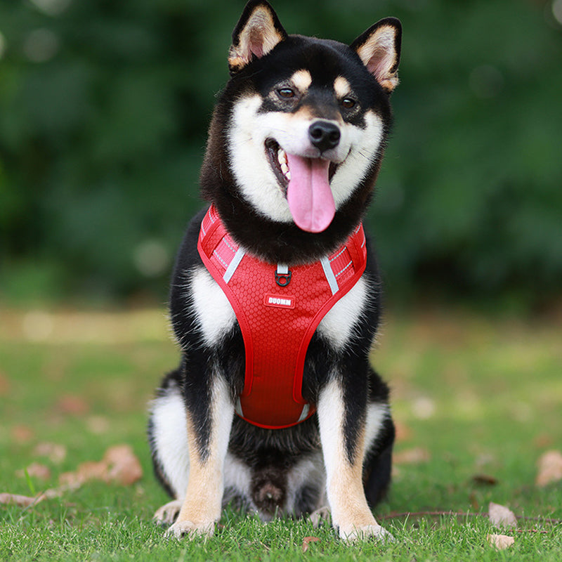 Reflective Dog Harness | Stornfield