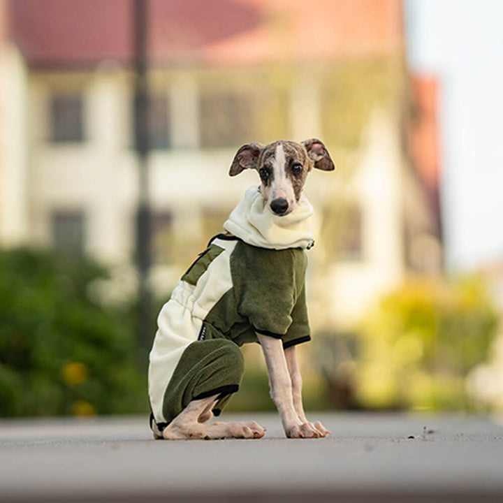 Stornfield | Full Protection Fleece Dog Bodysuit with Detachable Collar
