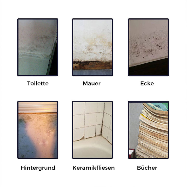 Anti-Mold Cleaning Foam | Stornfield