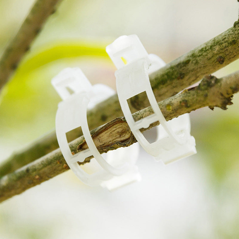 Practical Plant Support Clip | Stornfield