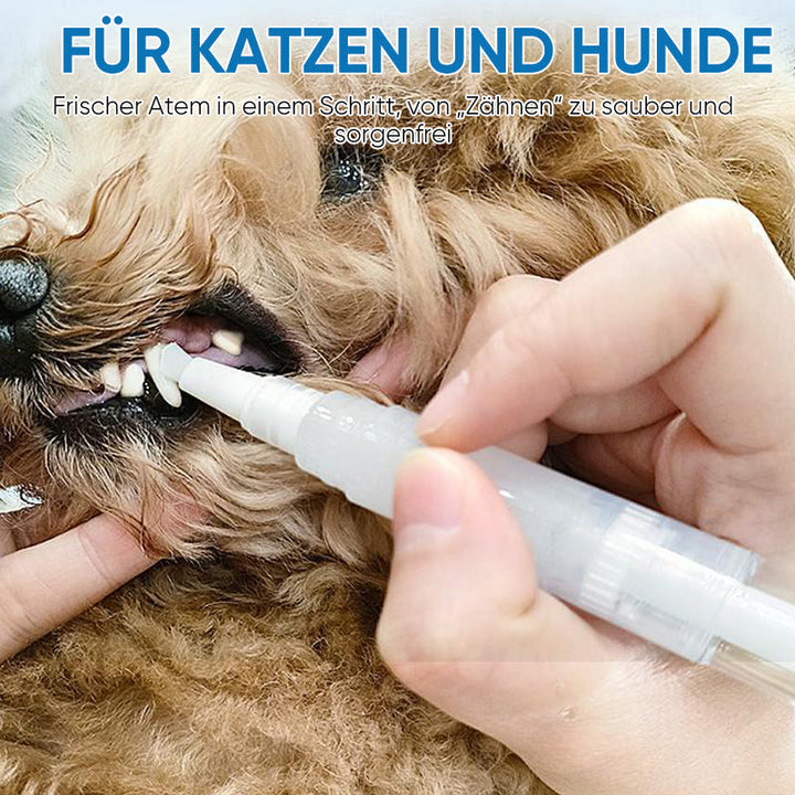 New improved toothbrush pen for pets | Stornfield