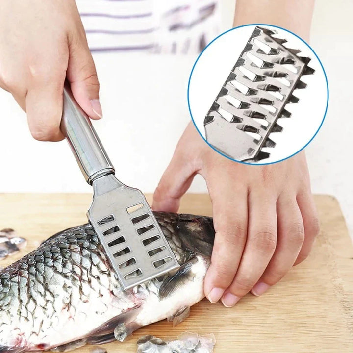 Fish Scale Remover Stainless Steel Stornfield