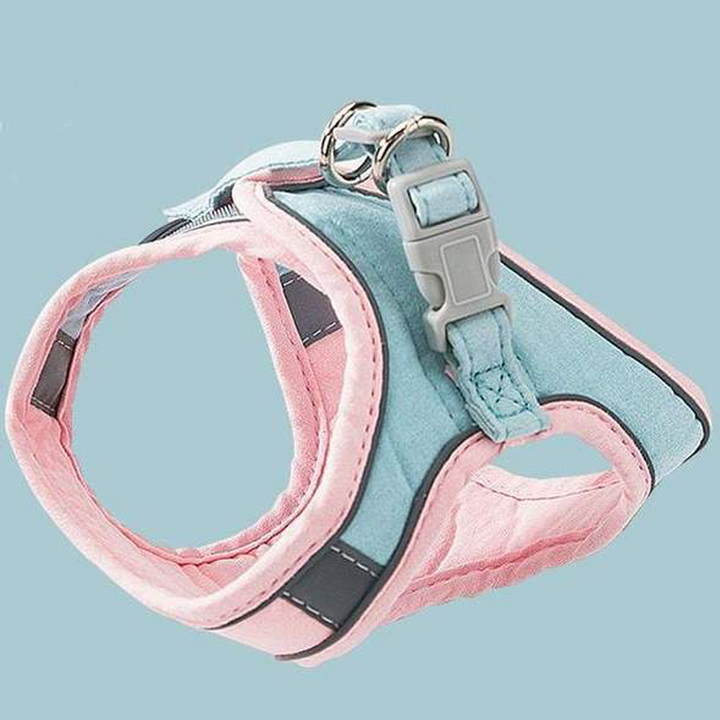 Harness and Leash Set for Cat | Stornfield