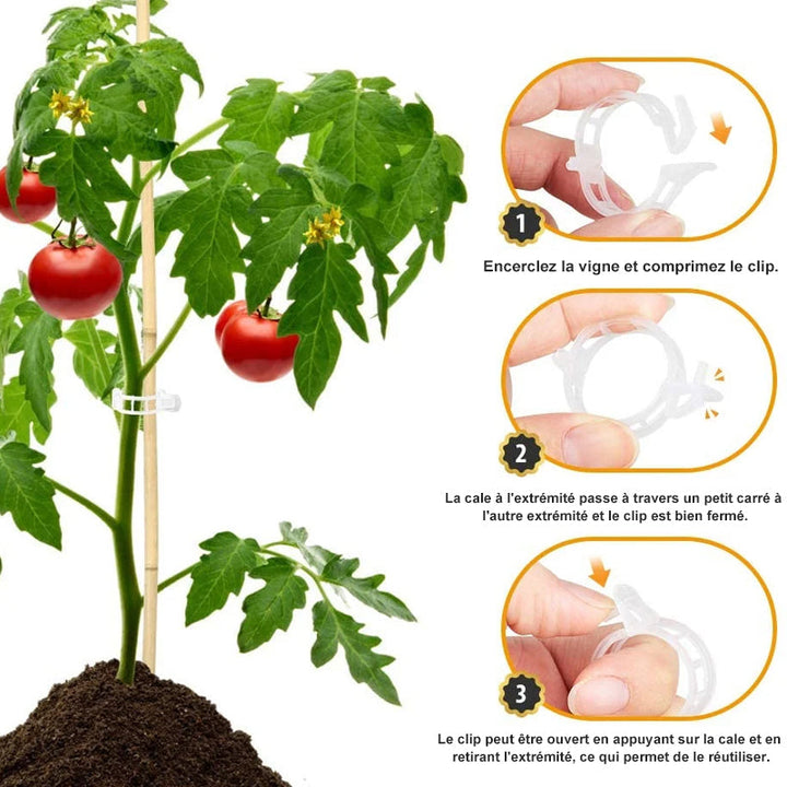 Plant support clips | Stornfield