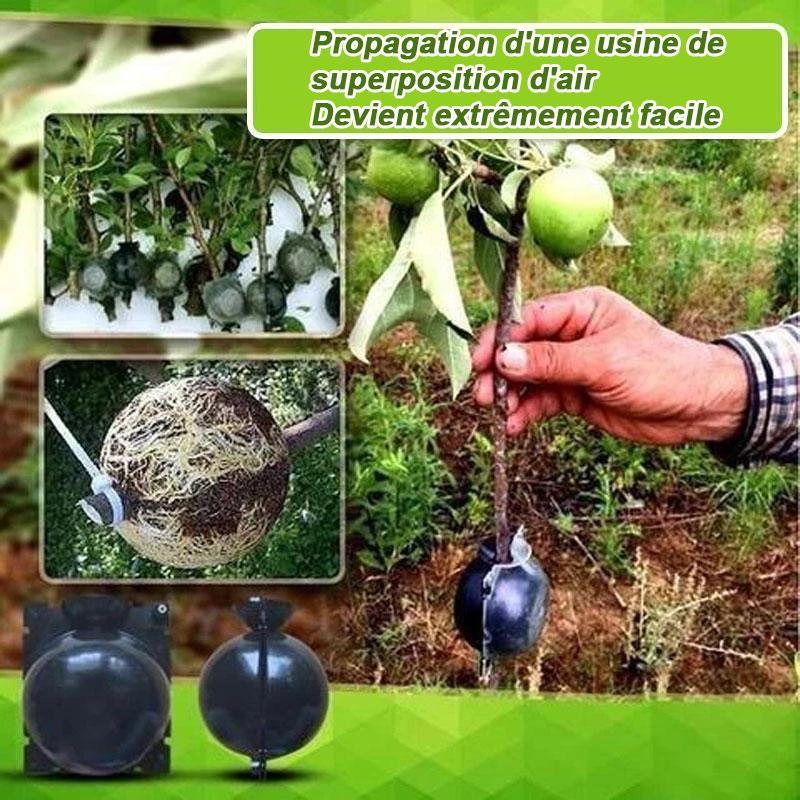 Air Layer Plant Propagation Capsule | Stornfield