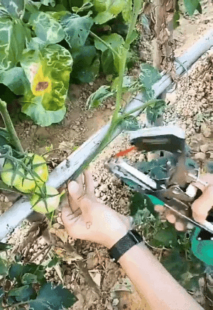 Plant binder for gardening | Stornfield