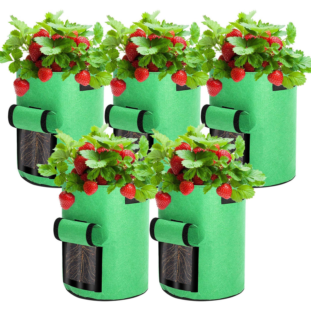 Plant sack planting bag plant pouch 5 pieces | Stornfield