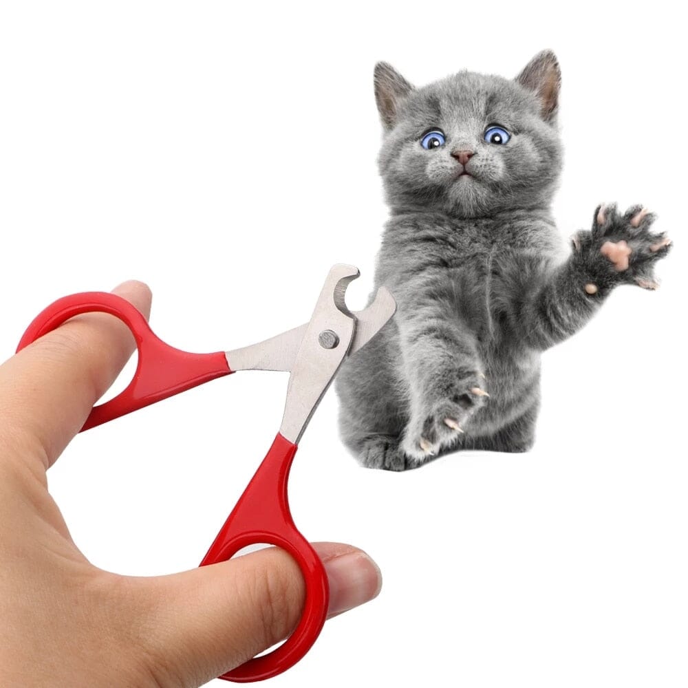 Stornfield-Nail Clipper