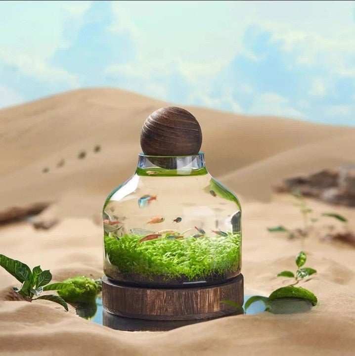 Micro Aquarium Compact Glass Ecological Fish Tank | Stornfield