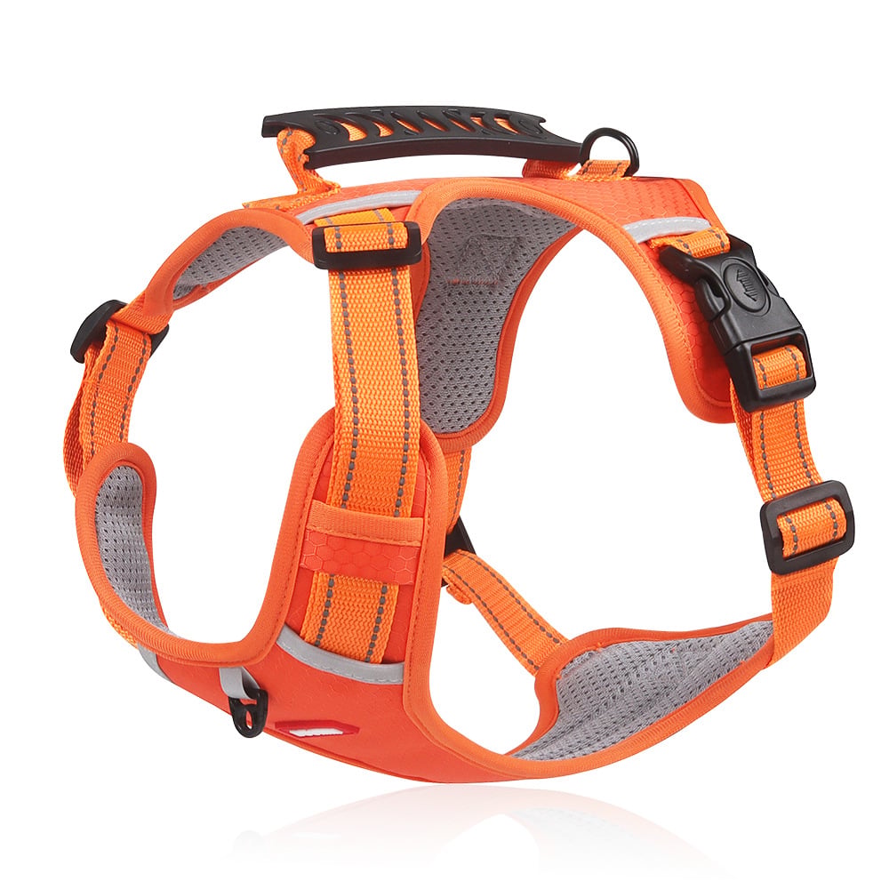 Stornfield | No-pull Dog Harness for Pets