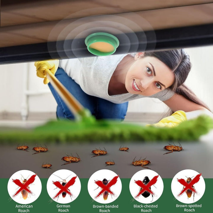 Stornfield | Child- & Pet-Safe Roach Bait Discs