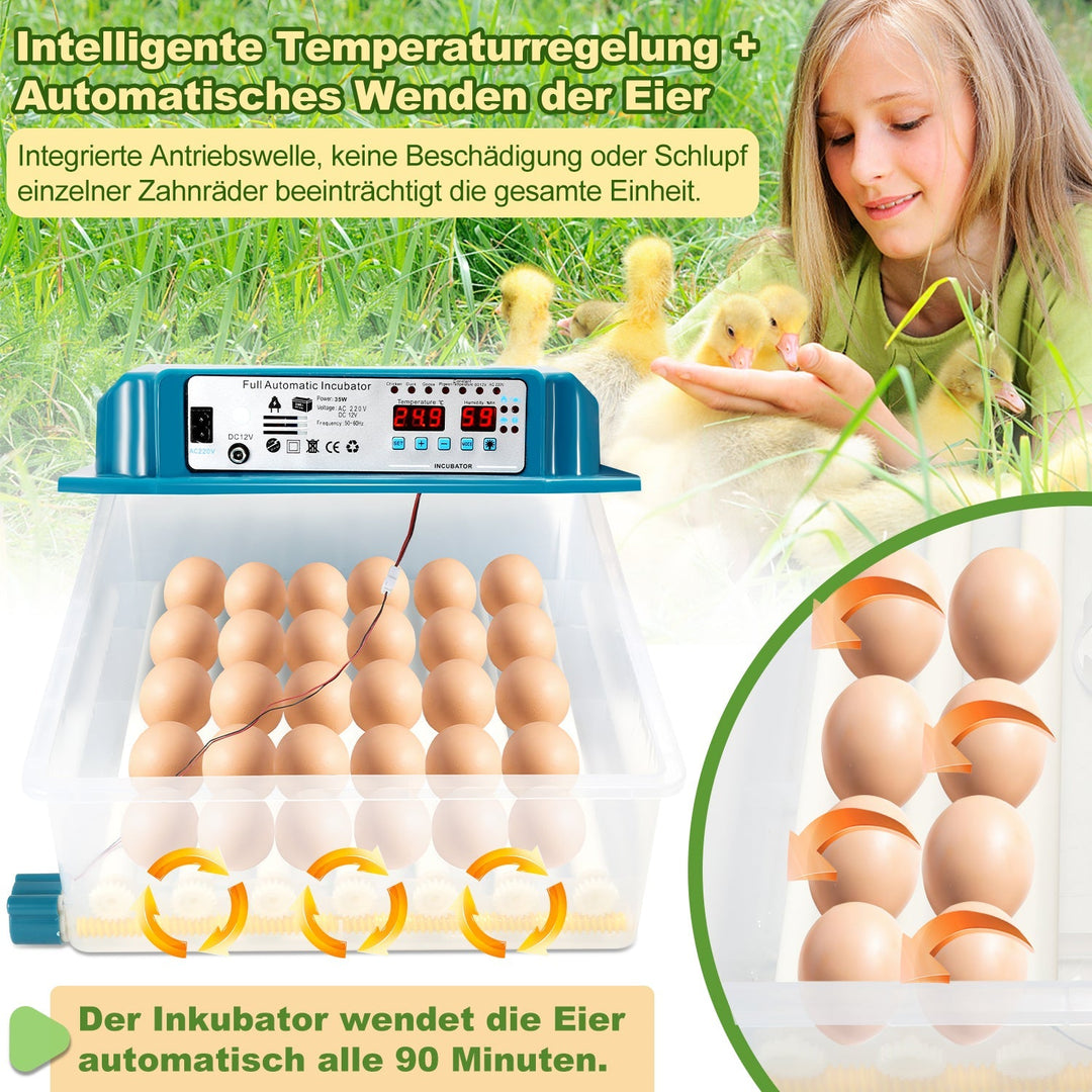 Brutautomat Fully Automatic Incubator for Chickens 36 Eggs | Stornfield