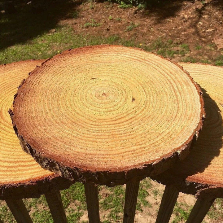 Natural Wood Slice Coasters | Stornfield