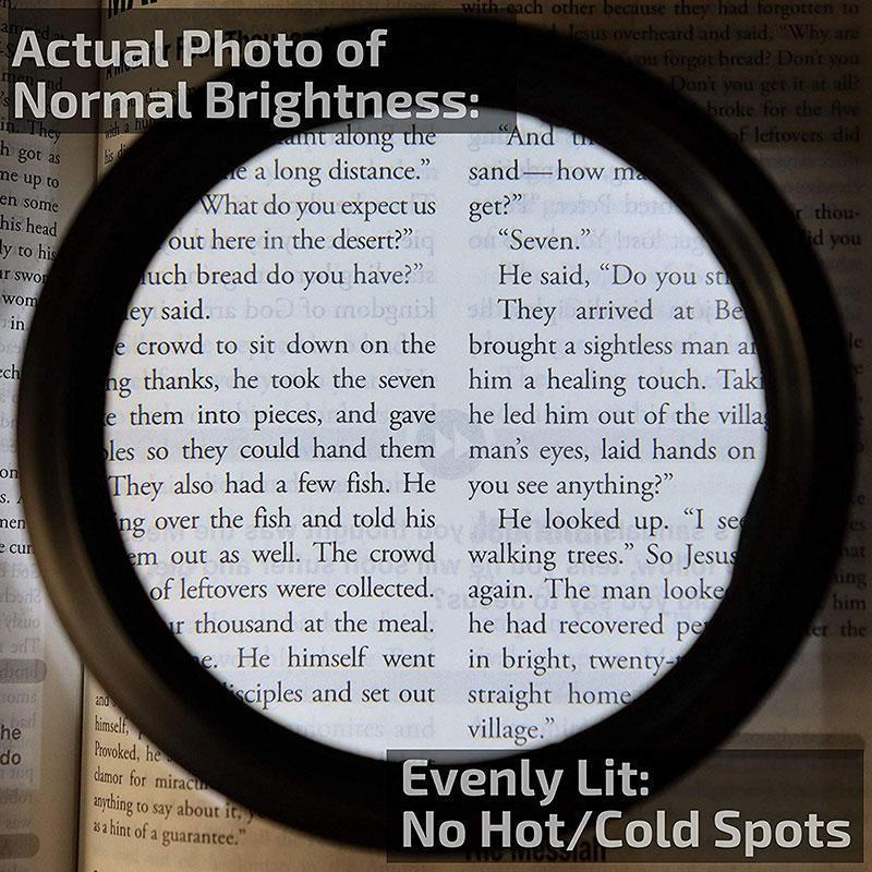 Stornfield | LED Reading Magnifying Glasses
