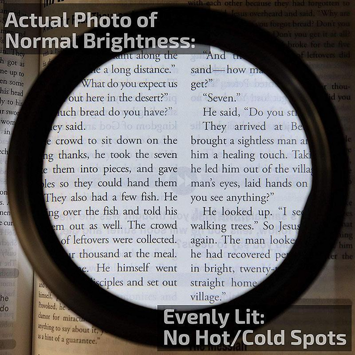 Stornfield | LED Reading Magnifying Glasses