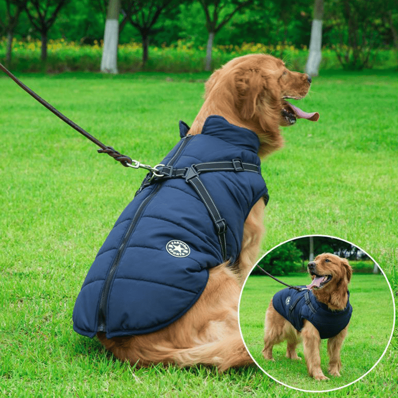 Winter Dog Jacket with Harness | Stornfield