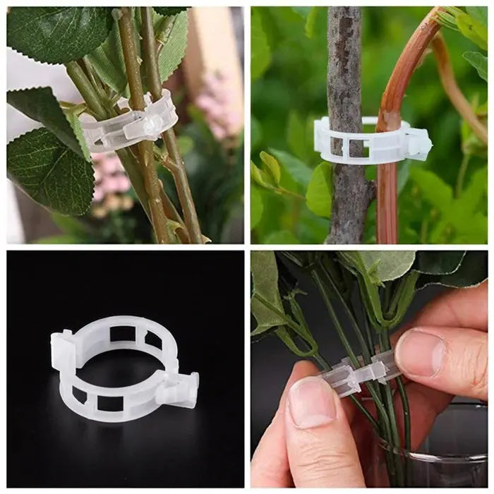 VitaGrip Clips — Strong hold for majestic plants that grow and thrive proudly | Stornfield