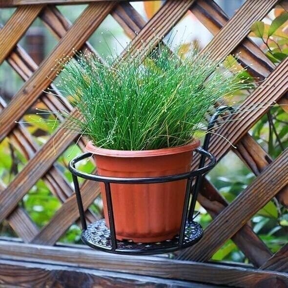 VerdaLift Plant Hanging Shelf — Finally rock-solid support for your balcony dreams | Stornfield