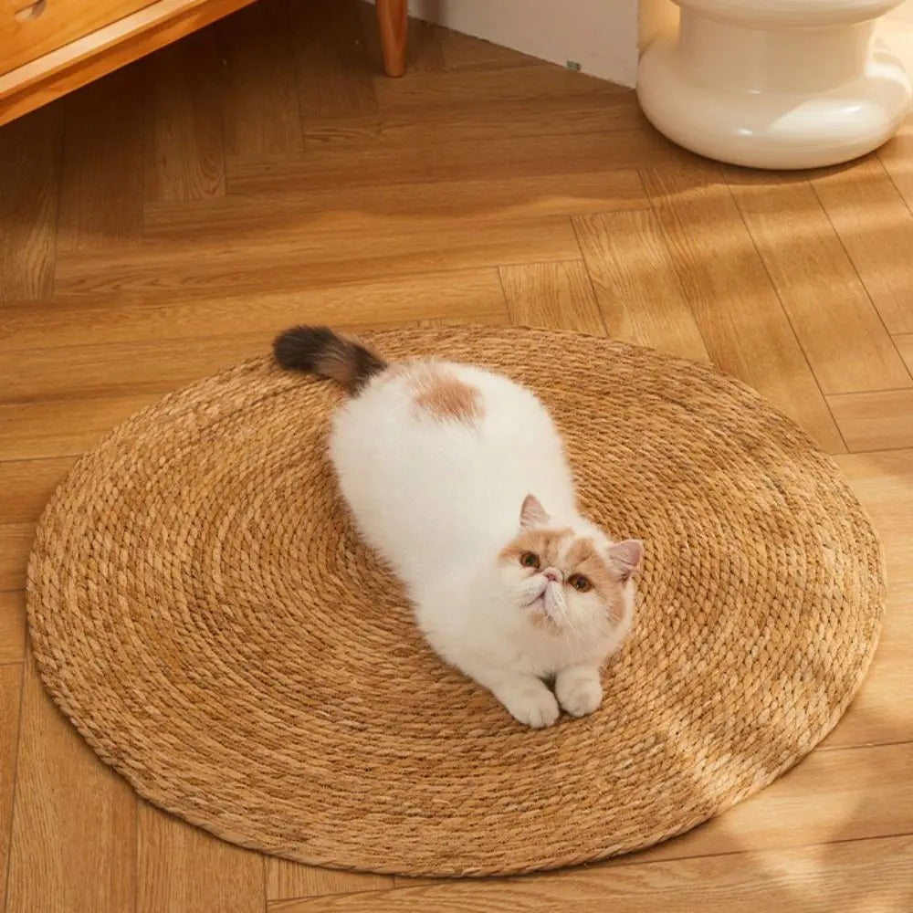 Scratching mat for cats | Stornfield