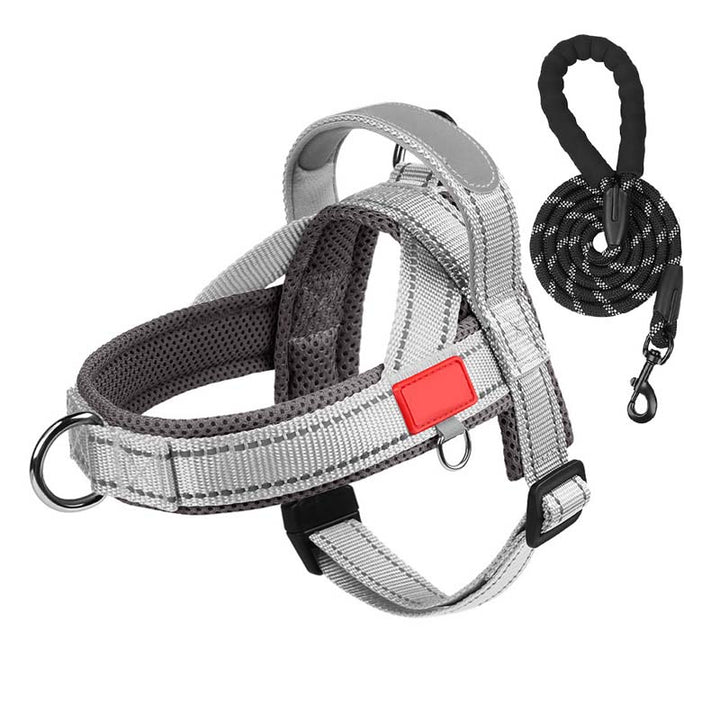 PawEase Comfort Harness — Relaxed Dressing and Unlimited Freedom for Your Dog | Stornfield