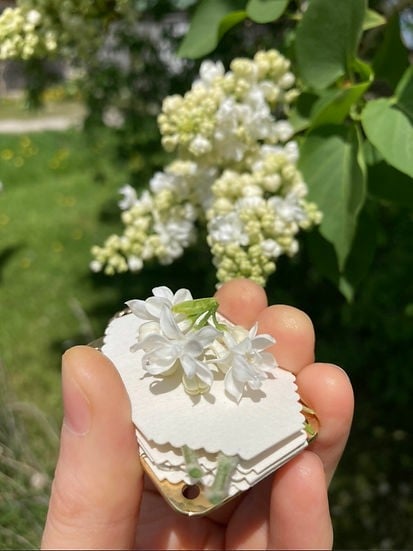 Stornfield | Mini Flower Press | Compact Botanical Keepsake Maker | Portable Craft Tool