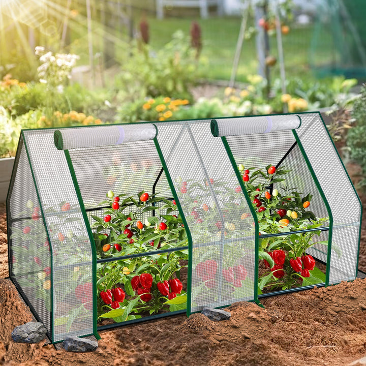 Greenhouse Tomato Greenhouse Hothouse | Stornfield