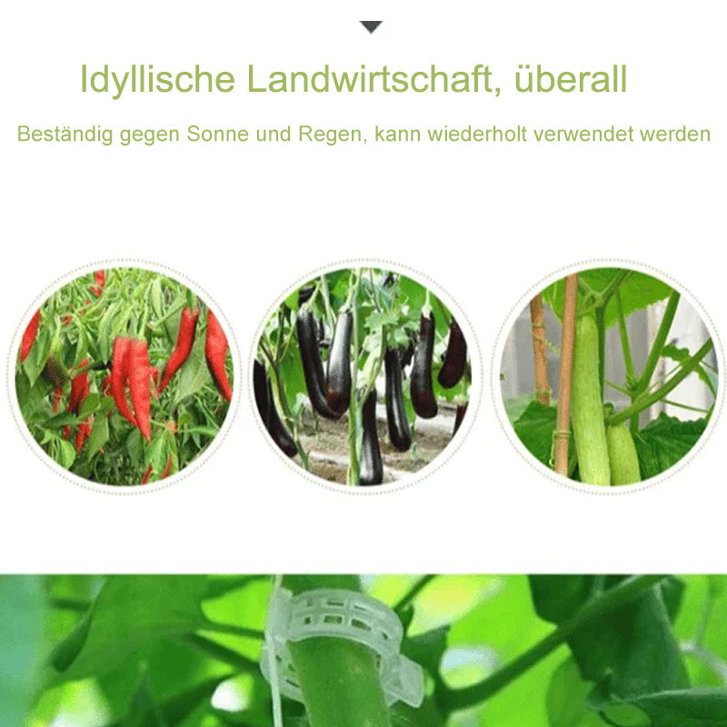 Practical Plant Support Clip | Stornfield