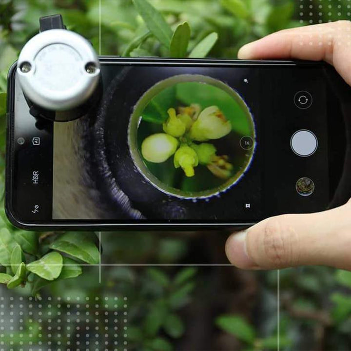 LED Portable Phone Microscope | Stornfield