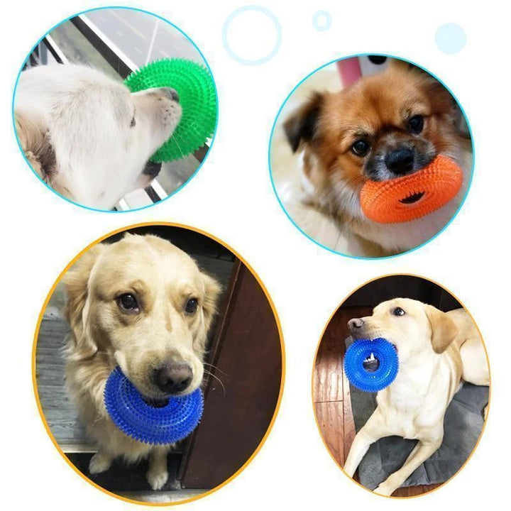Vocal Ball Toy for Dog to Bite | Stornfield
