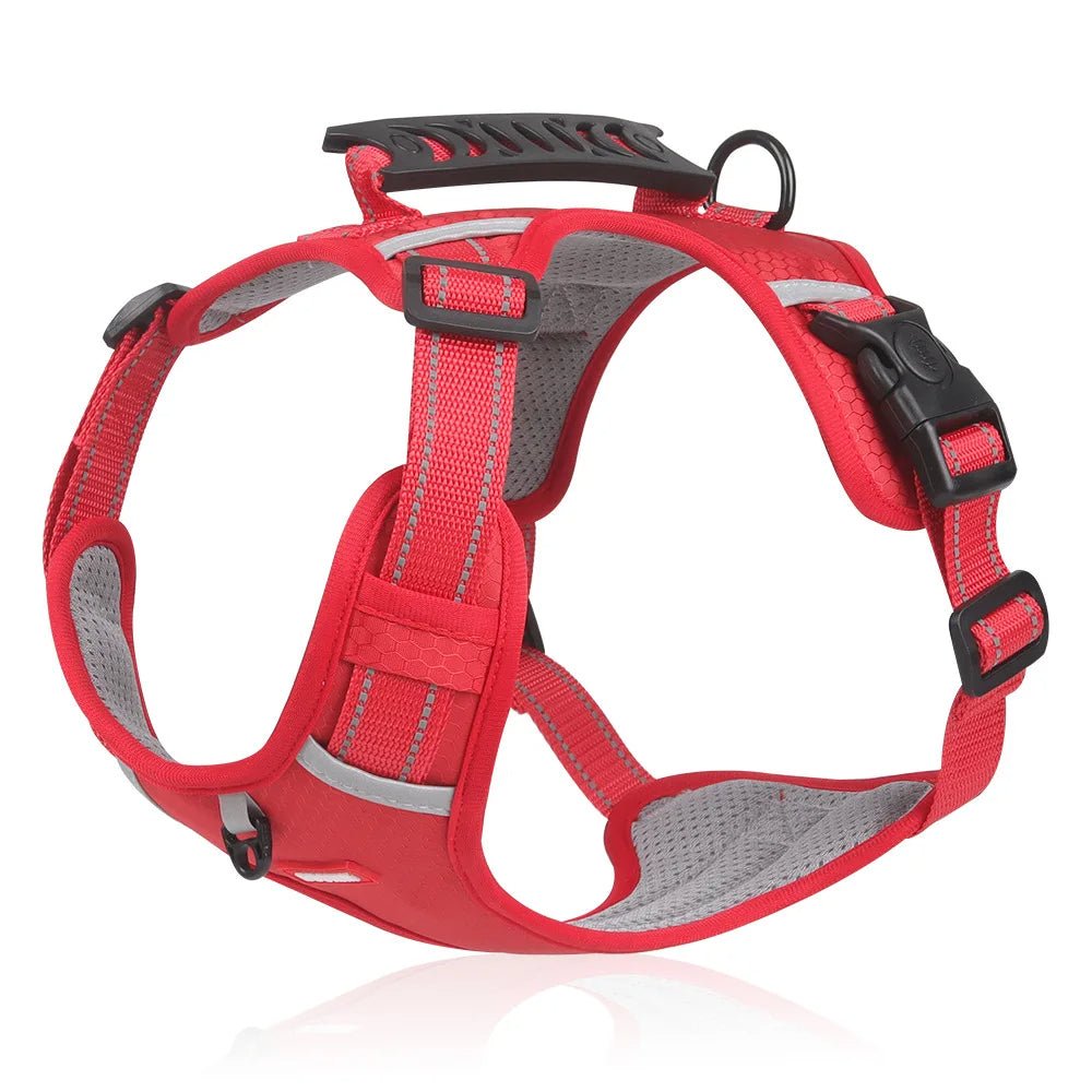 DogGrip Walk safely with your dog | Stornfield