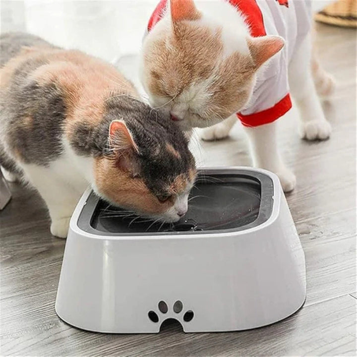 Stornfield Spill-Proof Pet Water Bowl for Dogs and Cats