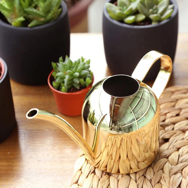 Stornfield | AquaGrace Stainless Steel Watering Can with Flexible Spout | Modern Design | Perfect Watering | Rust-Resistant