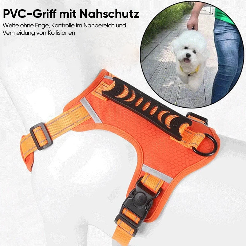 Reflective Dog Harness | Stornfield